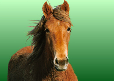 16_simcolors_after.jpg