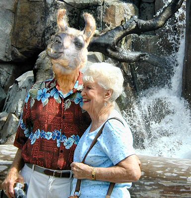 21_Mr&MrsLllama.jpg